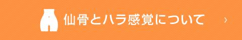 仙骨とハラ感覚について